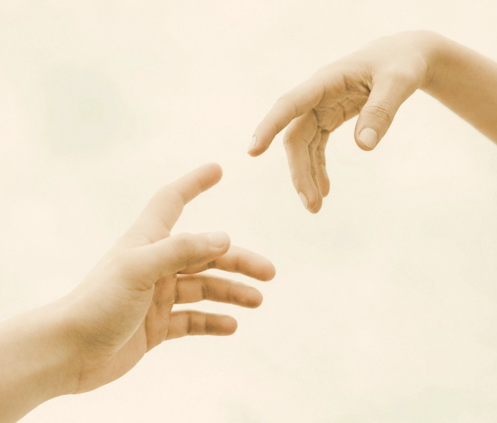 Las oraz ścieżka. Nasycone barwy